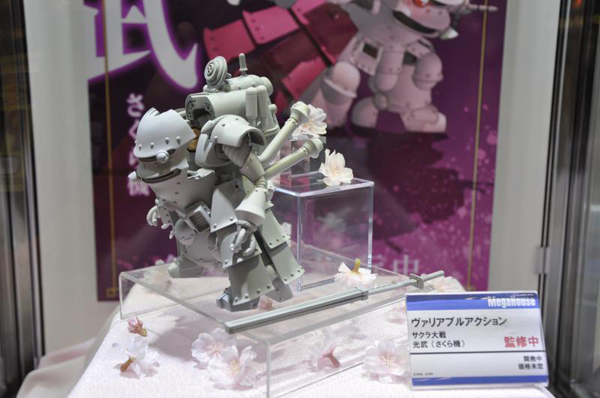 Wonfes 2013 Winter Coverage (96)